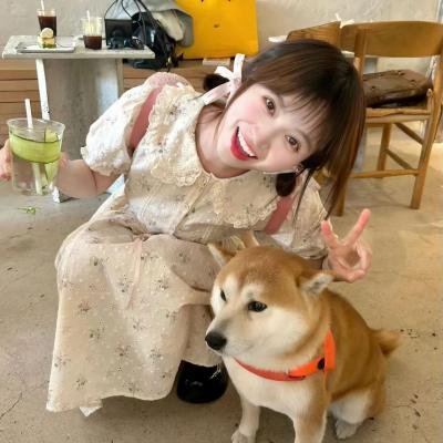 密语十七小时